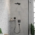 Ручной душ Hansgrohe Raindance Select S 120 3jet 26530340 (шлифованный черный хром)