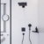 Ручной душ Hansgrohe Raindance Select S 120 3jet 26530670 (матовый черный)