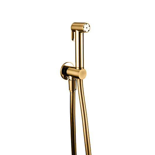 Набор для ухода за WC Cisal Shower A300791024 (золото) с предохранительным клапаном