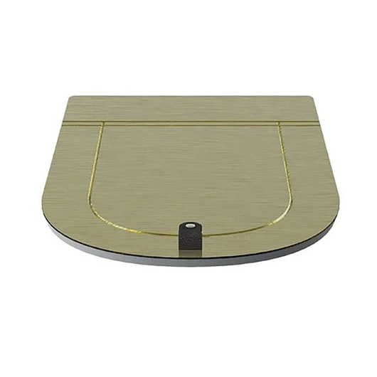 Сиденье с крышкой для унитаза ArtCeram The One THA001 73 SoftClose (золото)