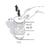 Донный клапан Migliore 17954 (ML.RIC-10.121.CR) для раковин с переливом
