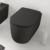 Сиденье с крышкой для унитаза Kerasan Nolita Slim 539131 черное матовое (SoftClose)