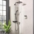Душевая система Grohe Euphoria SmartControl System 310 Duo 22120KF0 (фантомный черный)